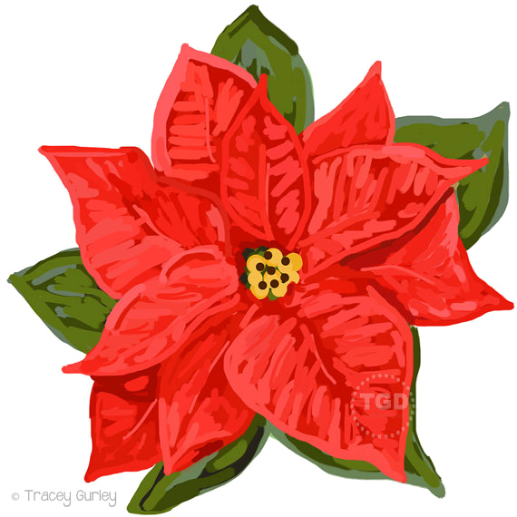 Poinsettia Png Download Image Clipart (570x570), Png Download