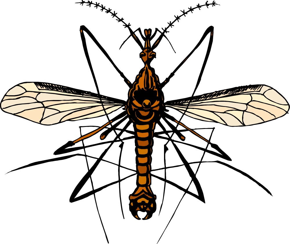 Our Videos Clipart (999x842), Png Download