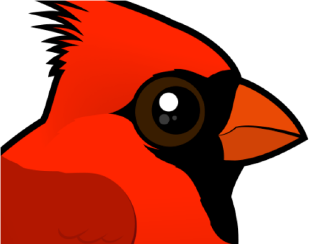 Cardinal Clipart Cardinal Head - Png Download (640x480), Png Download