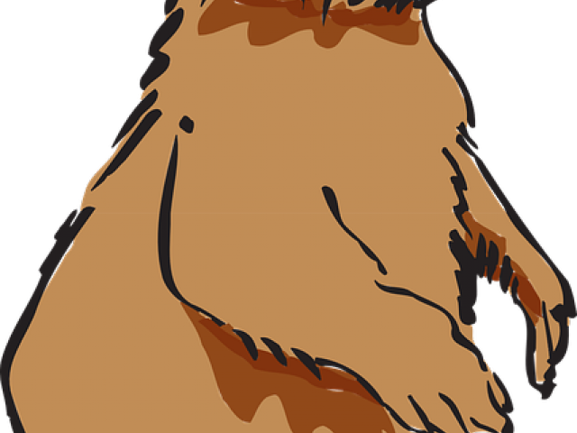 Beaver Clipart Beaver Fur - Png Download (640x480), Png Download
