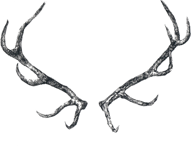 Antler Clipart Transparent Tumblr - Png Download (640x480), Png Download