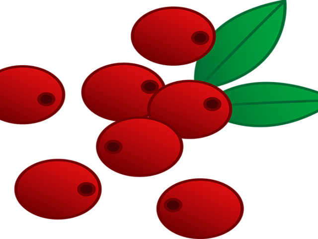 Cranberry Relish Clipart Holly Berry - Png Download (640x480), Png Download