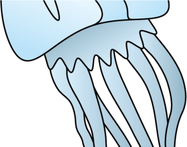 Cartoon Clipart Jellyfish - Png Download (640x480), Png Download