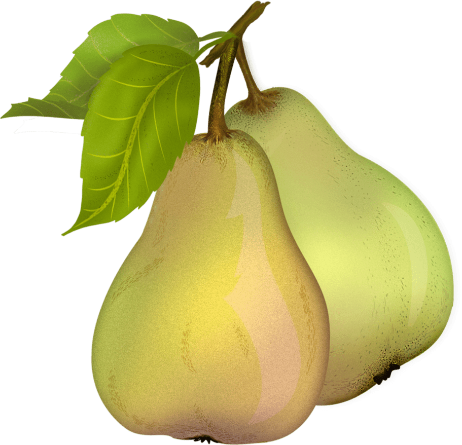 Pear Fruit Clip Art Transparent Background - Png Download (911x878), Png Download