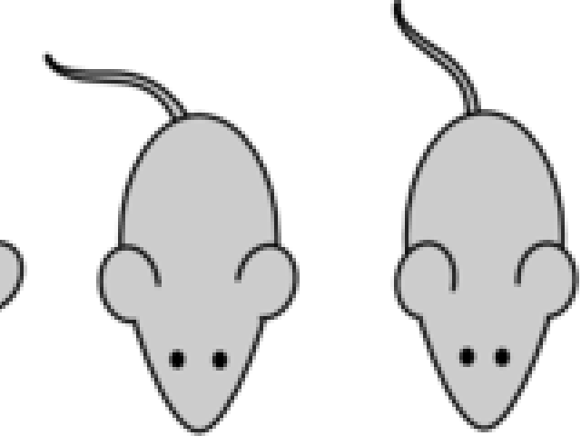 Mouse Clipart Laboratory - Png Download (640x480), Png Download