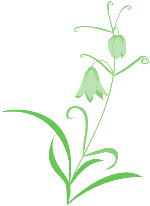 Free Photo Green Flowers Clipart (540x720), Png Download