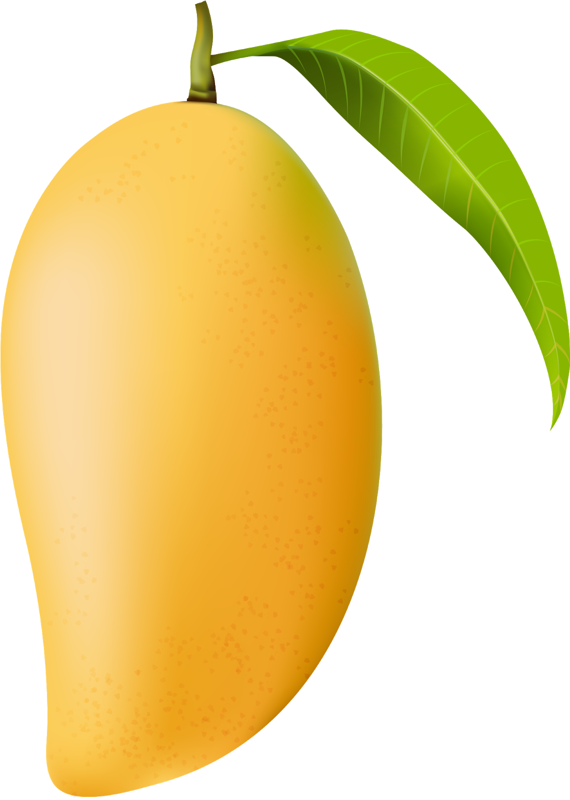 Mango Images Hd Clipart (1142x1600), Png Download