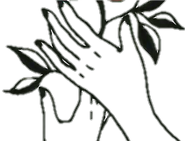 Aesthetic Clipart Rose - Png Download (640x480), Png Download