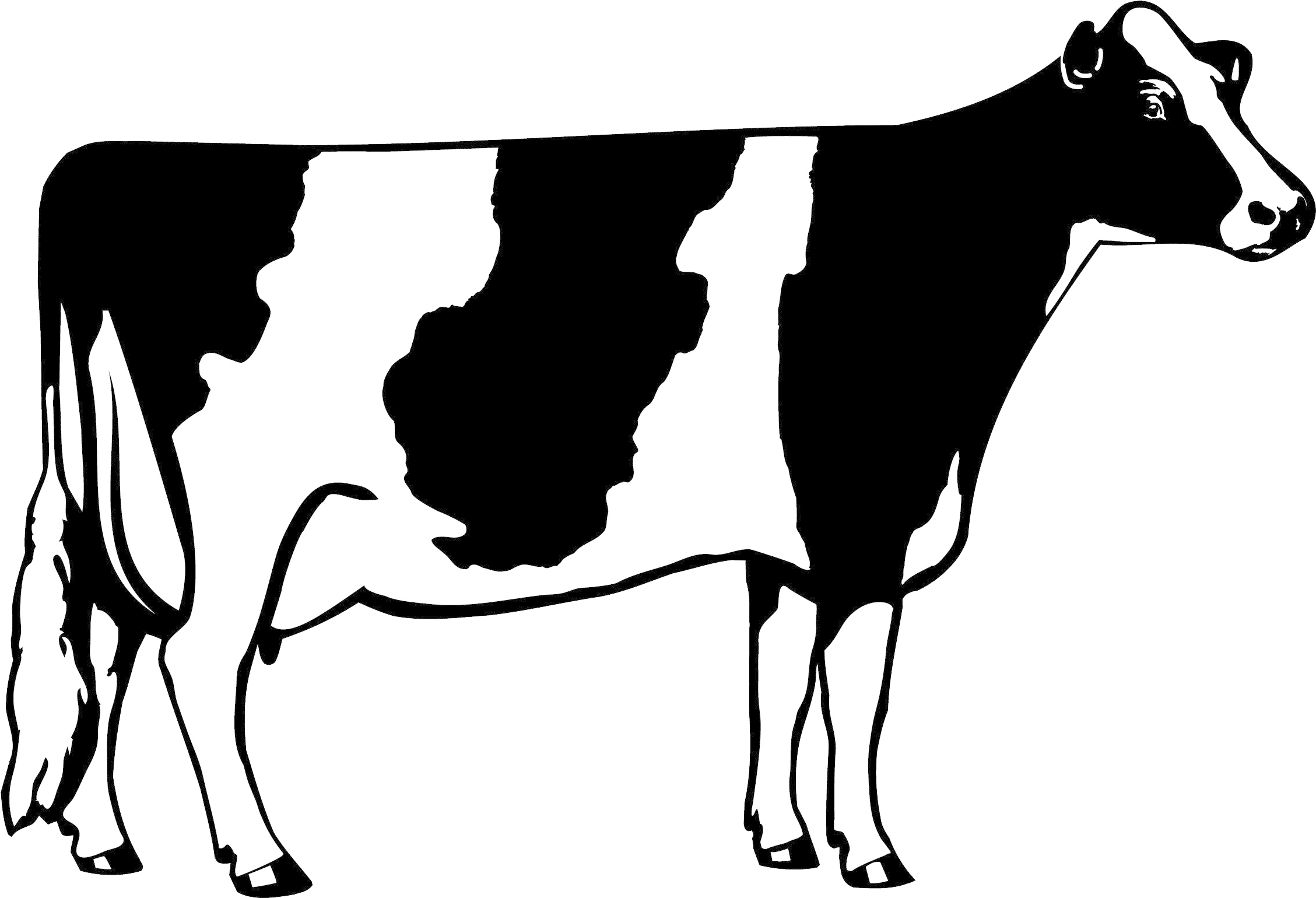 Ugli Fruit With A Cow Photoshopped On Top Of It And Clipart Full Size
