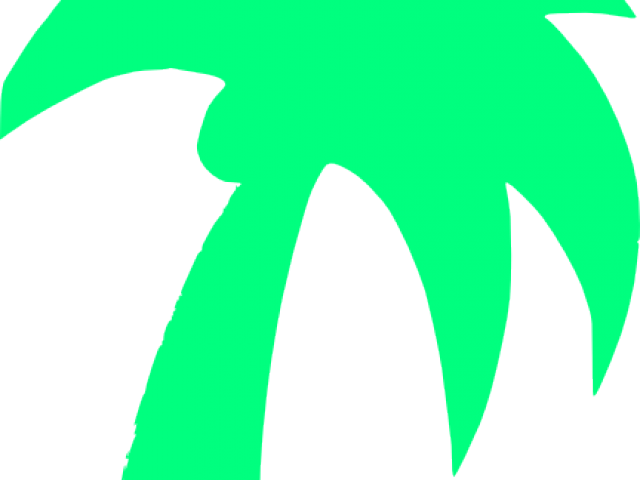 Palm Tree Clipart Green - Png Download (640x480), Png Download
