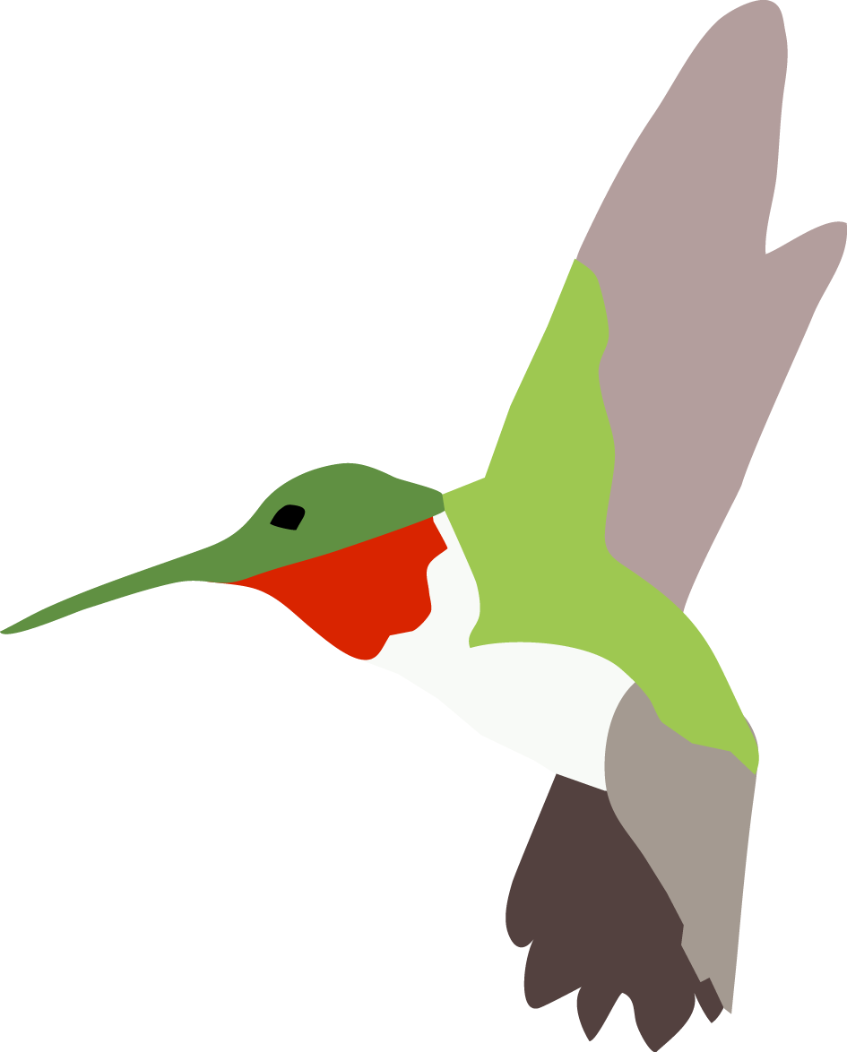 Hummingbird Clipart (945x1174), Png Download