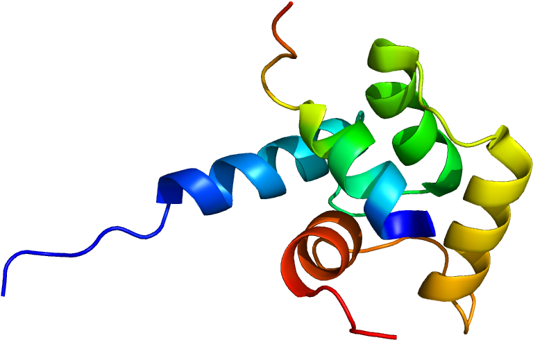 View Regulation Of Carcinogenesis Angiogenesis And Clipart (1200x1000), Png Download