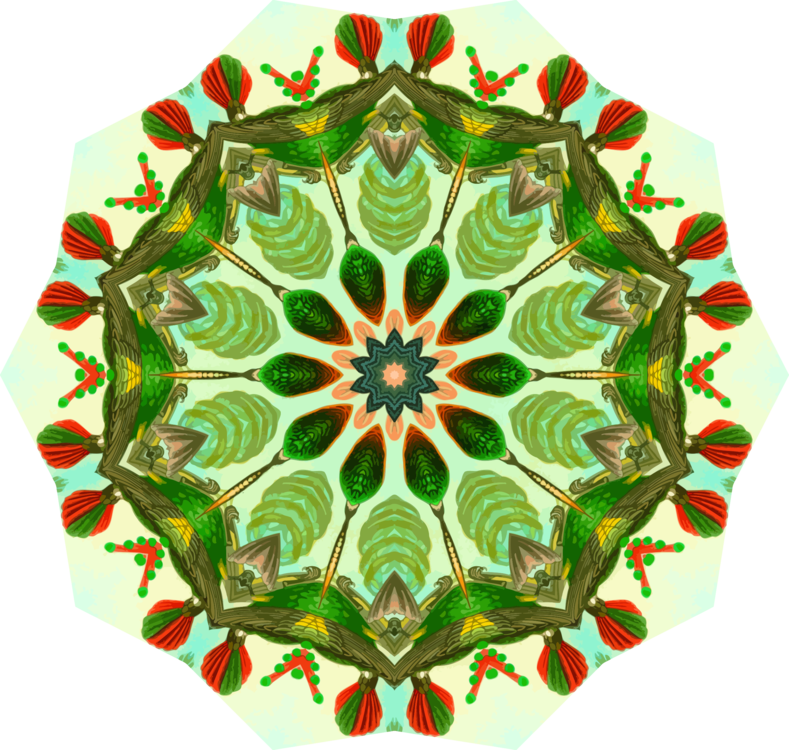 Trochilidae Hummingbird Computer Icons Drawing Pdf Clipart (789x750), Png Download