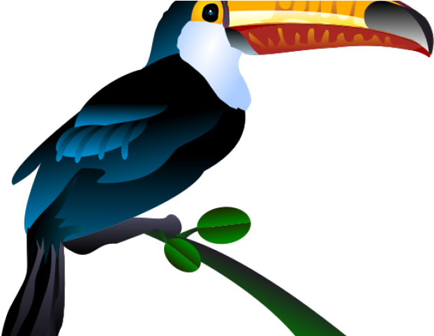 Hummingbird Clipart Ibon - Png Download (640x480), Png Download