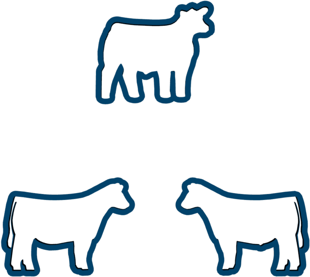 Custom Livestock Horse Cookie Cutter Clipart (1024x768), Png Download