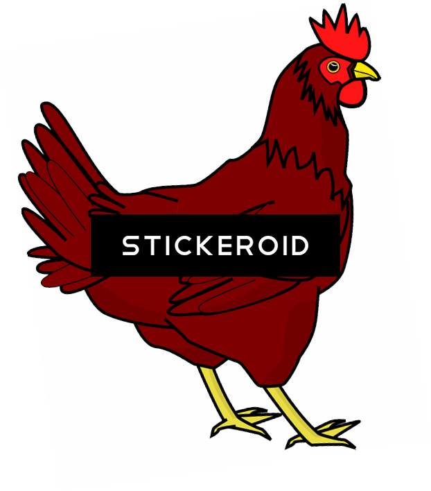 鸡png透明图像 鸡 Chicken Clip Art , Png Download Transparent Png (622x708), Png Download