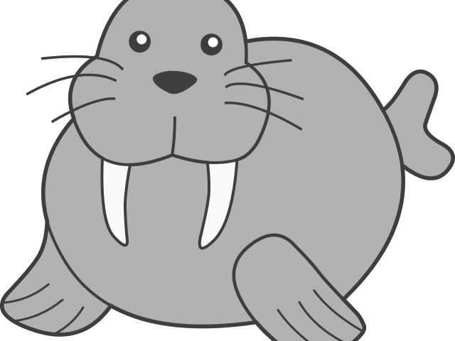 Walrus Clipart Sea Lion - Png Download (640x480), Png Download