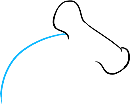 Drawing Nemo Shark Head Clipart (680x678), Png Download