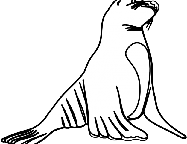 Leopard Seal Clipart Ocean Animal - Png Download (640x480), Png Download