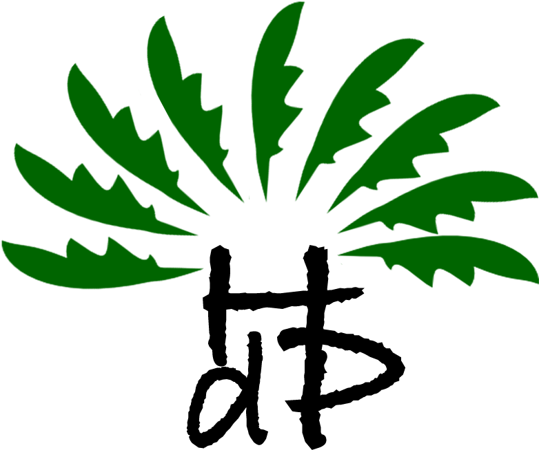 Hotel Delle Palme Clipart (807x758), Png Download
