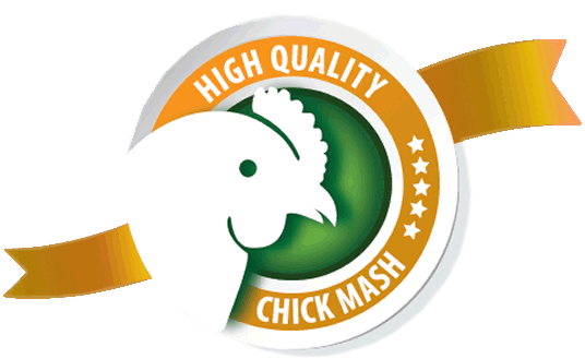 Chick Mash Clipart (750x445), Png Download