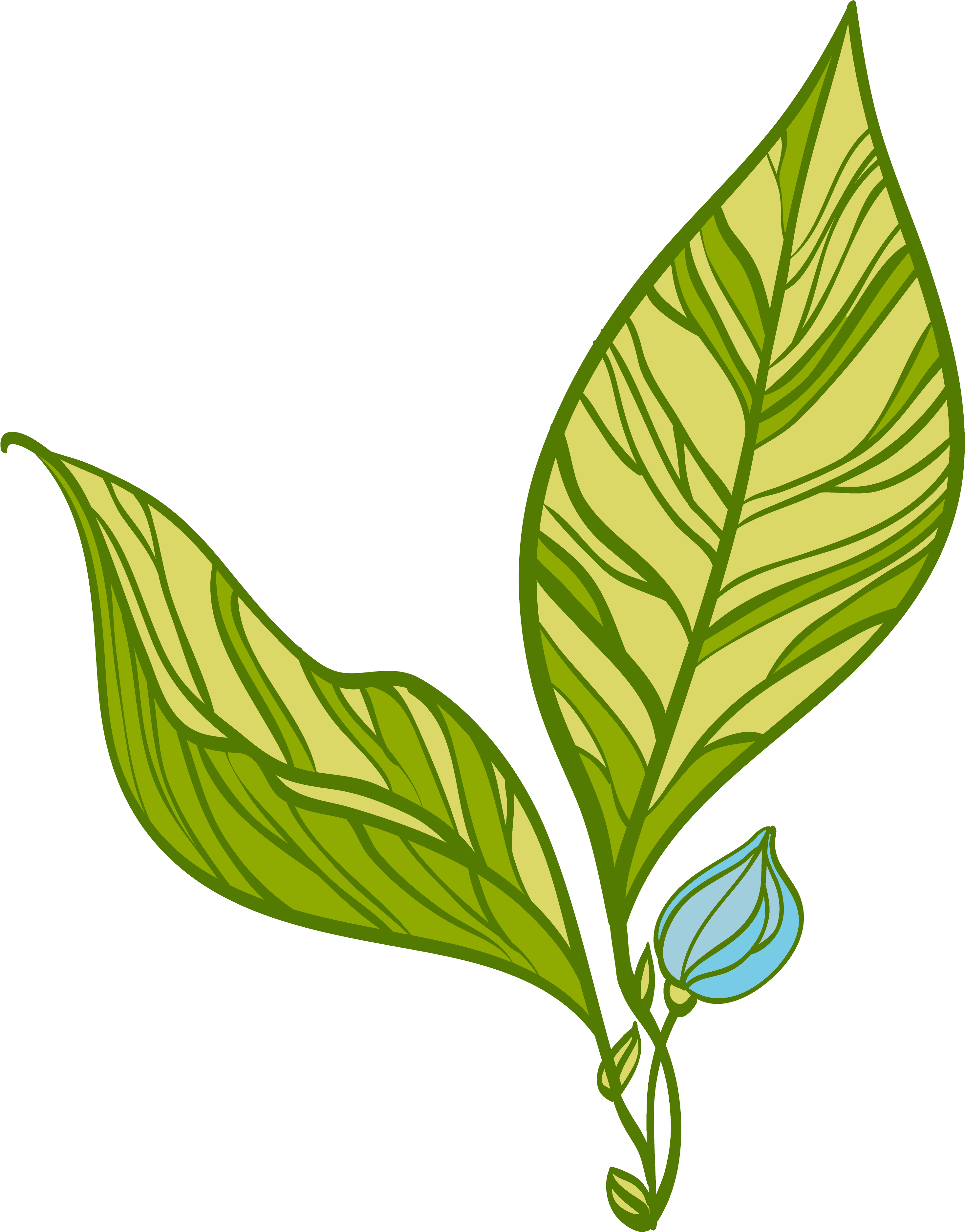 The Phc Wellness Center Is Located In The Orange House Clipart (4167x4167), Png Download