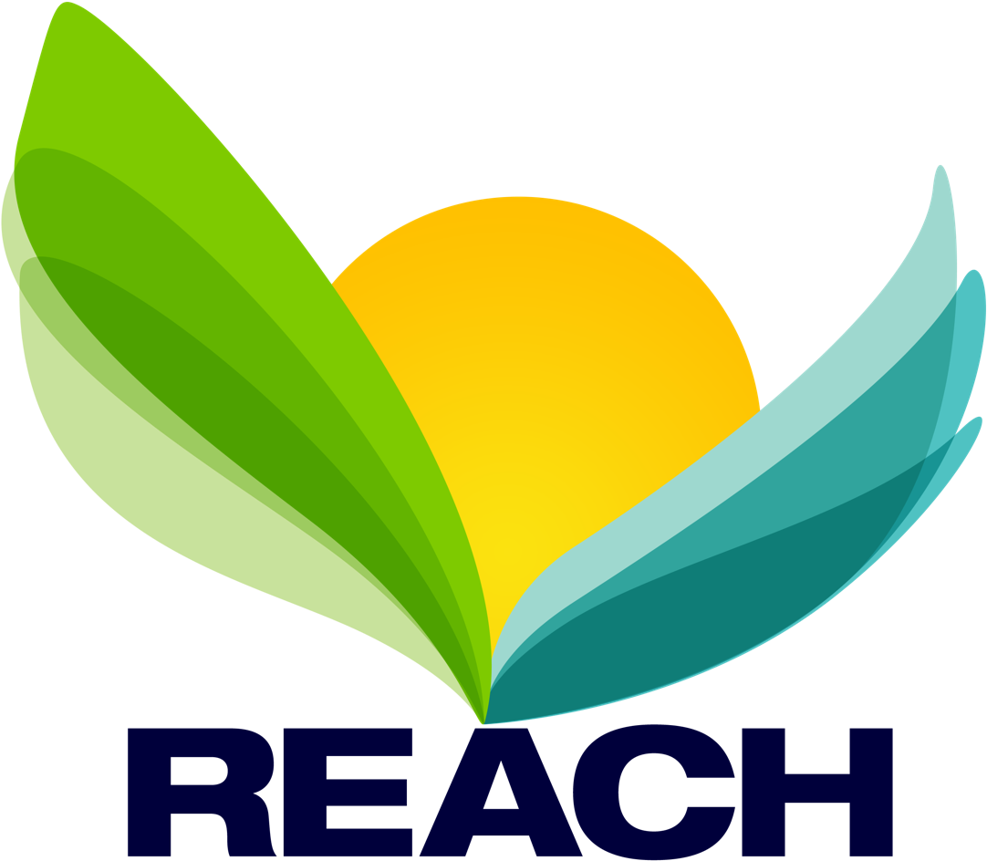 Reach Wellness & Recovery, Helping Patients With A Clipart (1106x960), Png Download