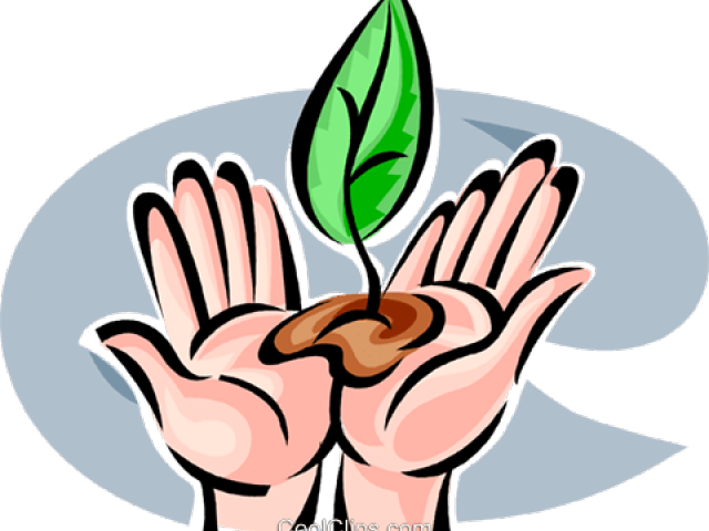 Seeds Clipart Hand - Png Download (640x480), Png Download