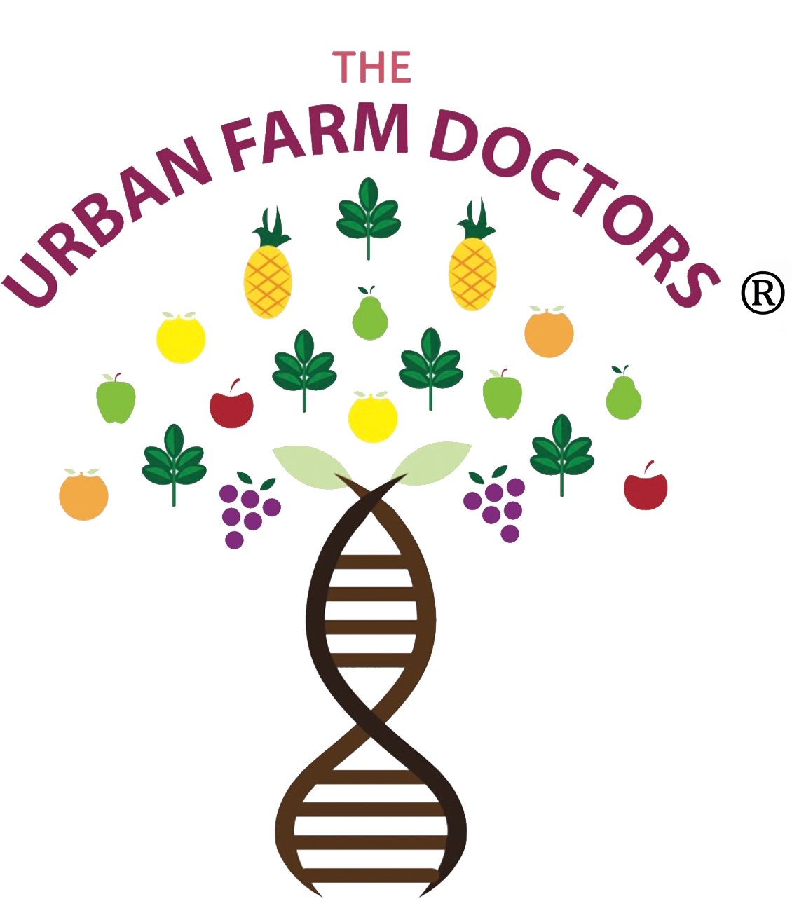 Urban Farm Doctors Clipart (1235x1315), Png Download