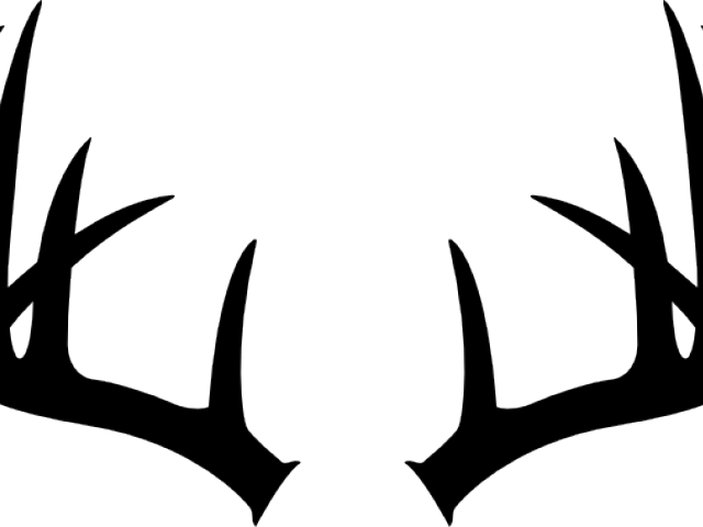 Elk Clipart Black And White - Png Download (640x480), Png Download