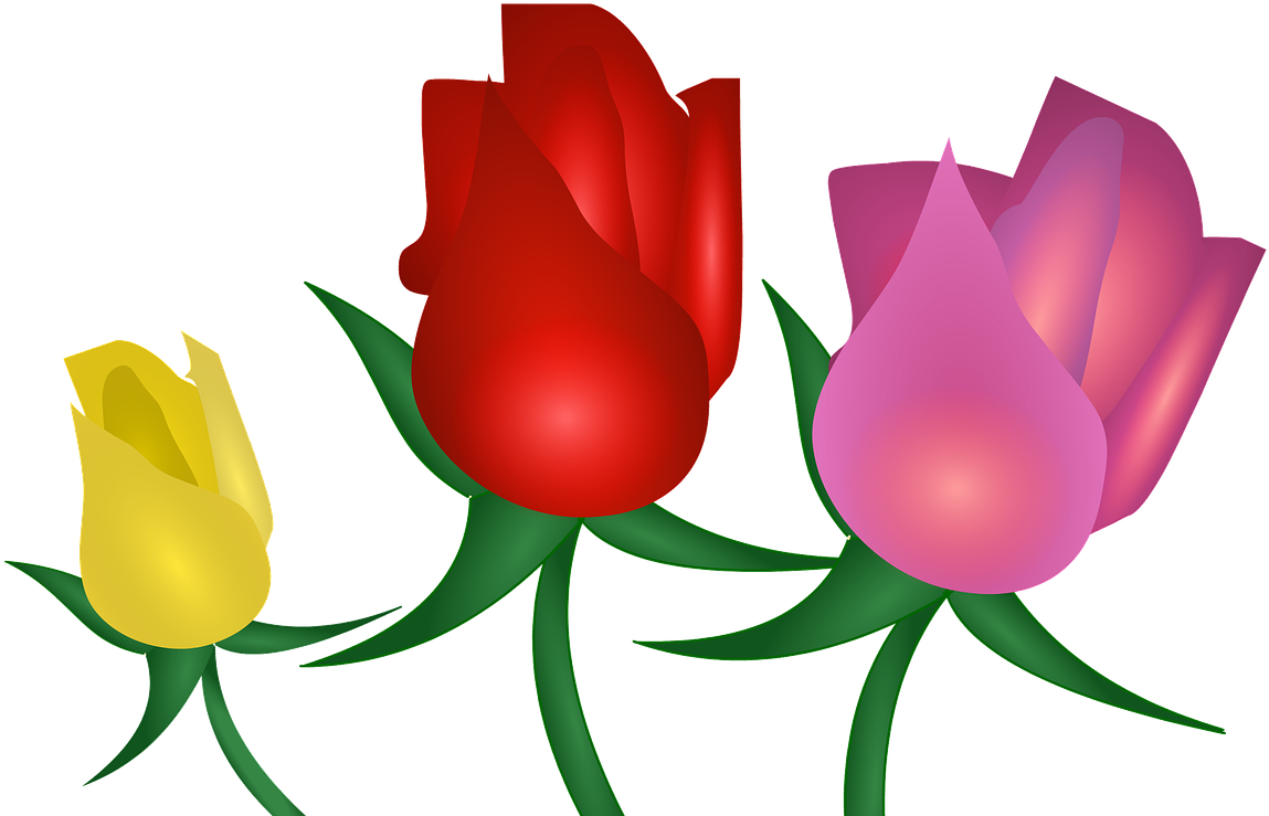 Rose Flowers Floral Clipart (1280x930), Png Download