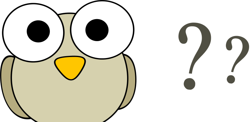 Why Do Birds Clipart (800x389), Png Download