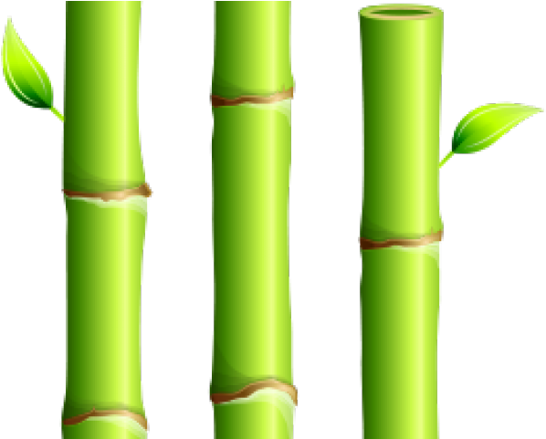 Bamboo Clipart One - Png Download (640x480), Png Download