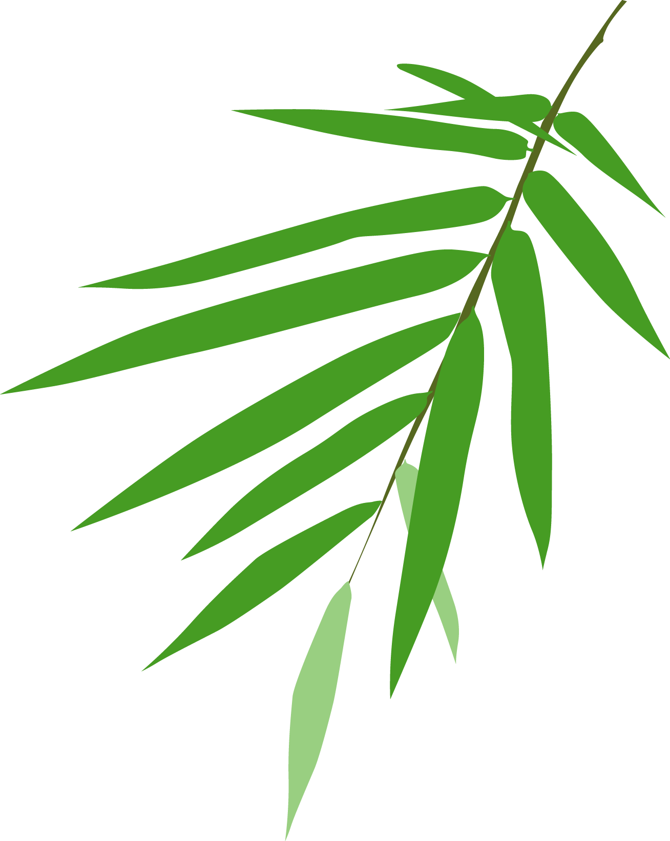 Giant Pandas Live In Central China In Some Mountain Clipart (1308x1642), Png Download