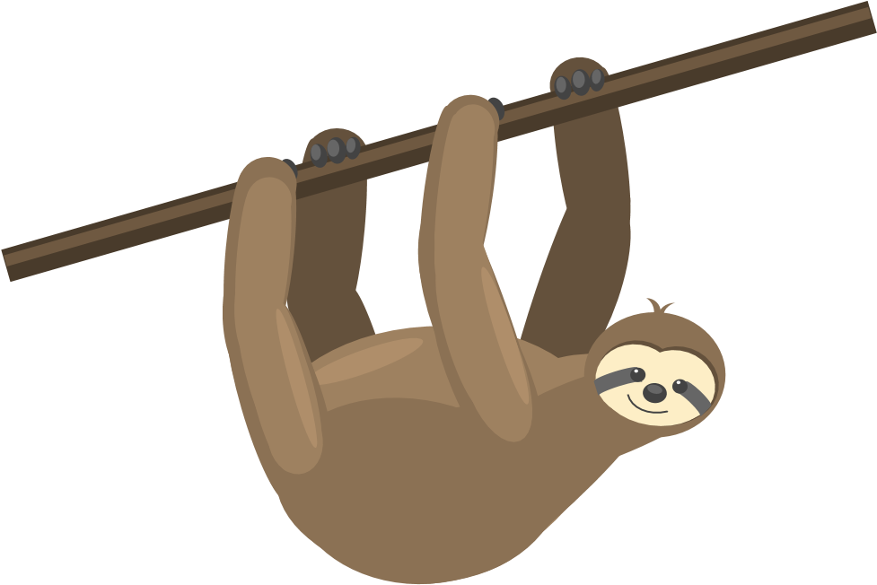 Sloth Clipart Hanging - Png Download (998x744), Png Download