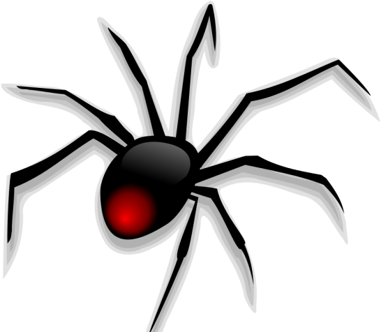 Black Widow Clipart Baby Spider - Png Download (640x480), Png Download