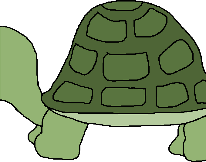 Turtle Clip Art Free Download - Png Download (678x555), Png Download