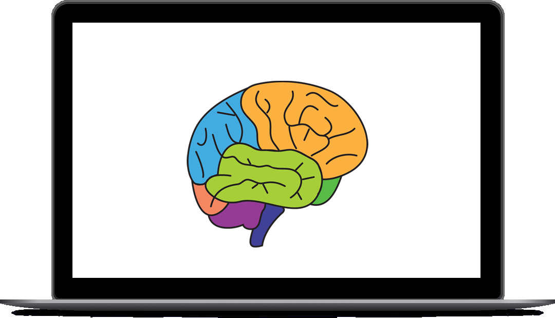 Start Your Neurok Course Now Clipart (1080x618), Png Download