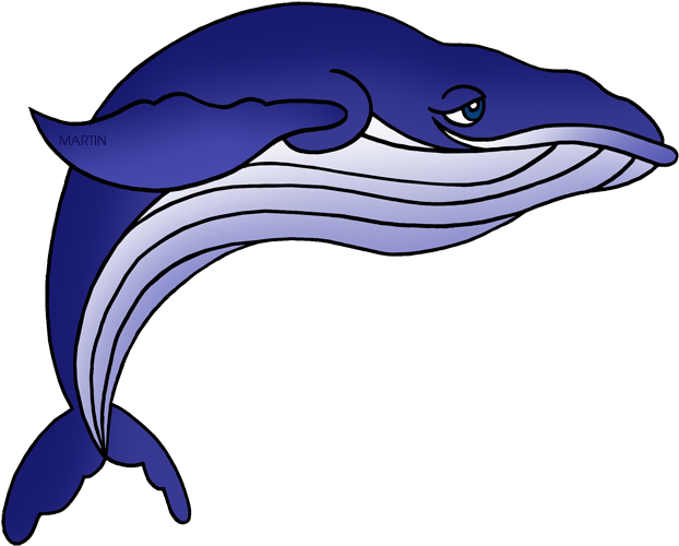 Bottlenose Dolphin Clipart Phillip Martin - Png Download (648x521), Png Download