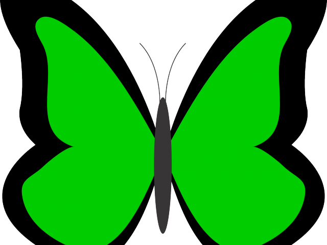 Panda Clipart Butterfly - Png Download (640x480), Png Download