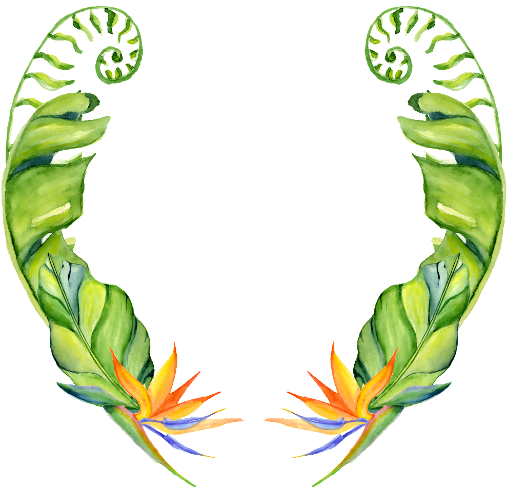 This Graphics Is Hand Painted Two Banana Leaves Png Clipart (989x952), Png Download