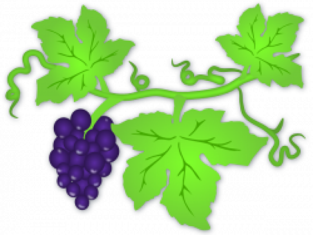 Grapes Clipart Yard - Png Download (640x480), Png Download