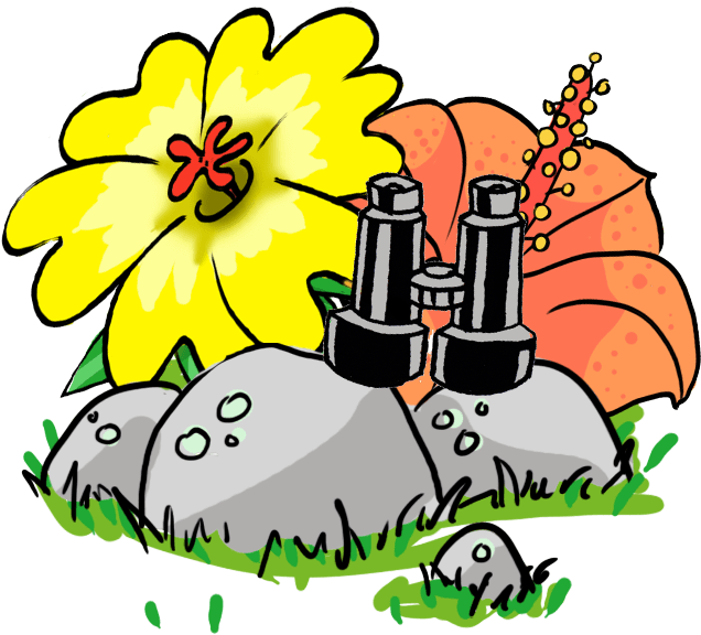 Blumen Clipart (720x575), Png Download