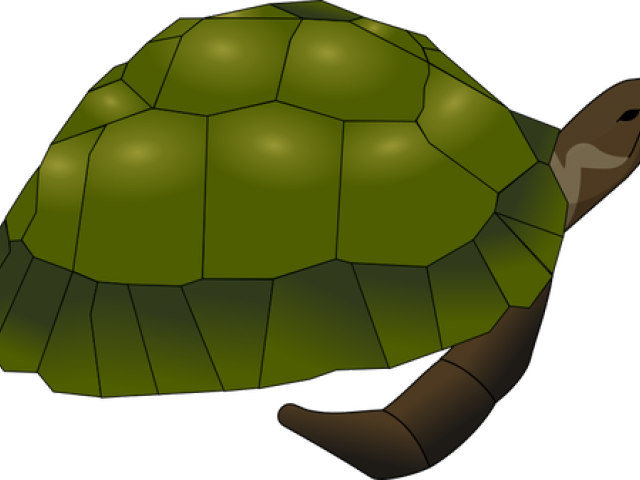 Tortoise Clipart Brown Turtle - Png Download (640x480), Png Download