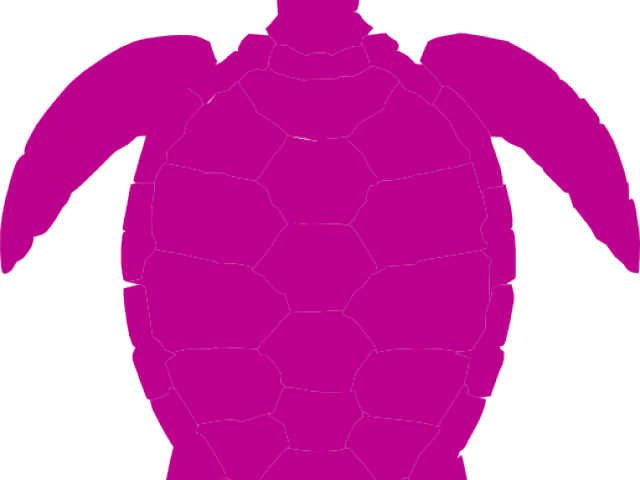 Tortoise Clipart Pink - Png Download (640x480), Png Download