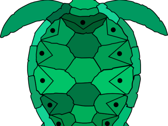 Sea Turtle Clipart Teal - Png Download (640x480), Png Download
