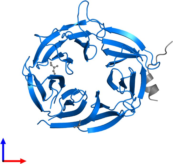 <div Class='caption-body'>pdb Entry 3eu7 Contains 1 Clipart (800x800), Png Download