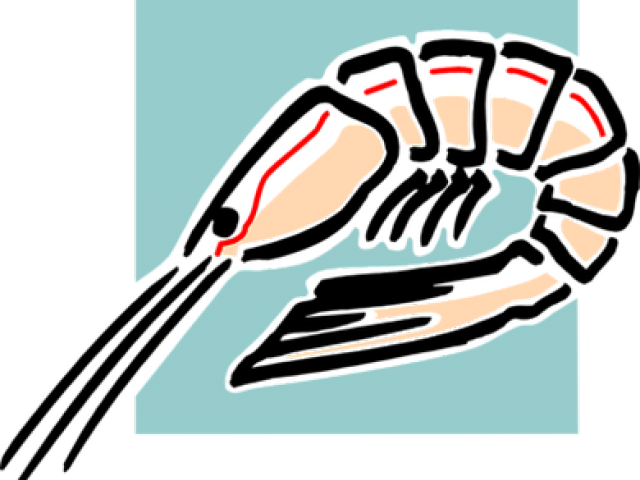 Shrimp Clipart Shellfish Allergy - Png Download (640x480), Png Download