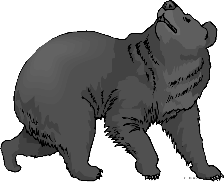 Black Bear Clipart Transparent - Png Download (750x611), Png Download