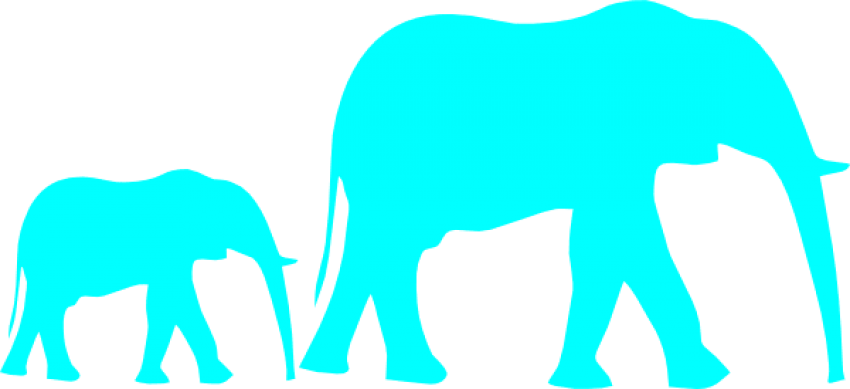 Free Png Download Elephant Png Images Background Png Clipart (850x389), Png Download